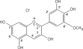 Composition de l'Anthocyanes E163